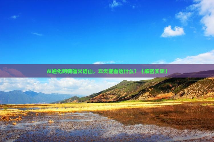 通化到新疆火焰山五日游