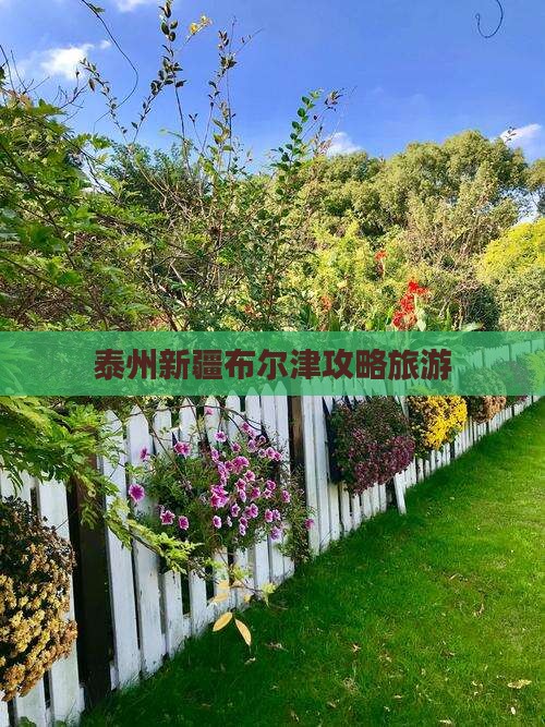 泰州去新疆布尔津旅行社