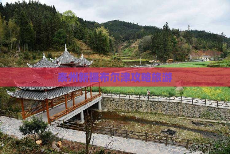 泰州去新疆布尔津旅行社