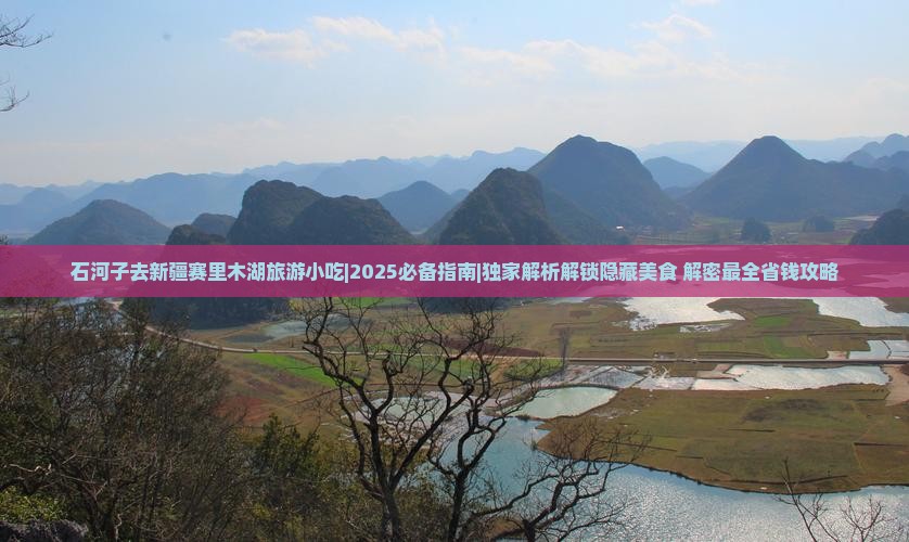 石河子去新疆赛里木湖旅游小吃