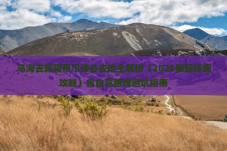 乌海去新疆布尔津必去地