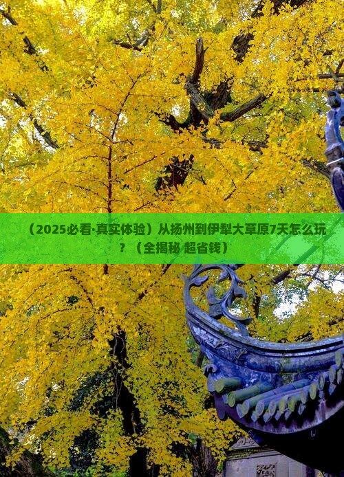 扬州到新疆伊犁大草原七日游