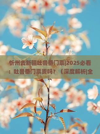 忻州去新疆吐鲁番门票