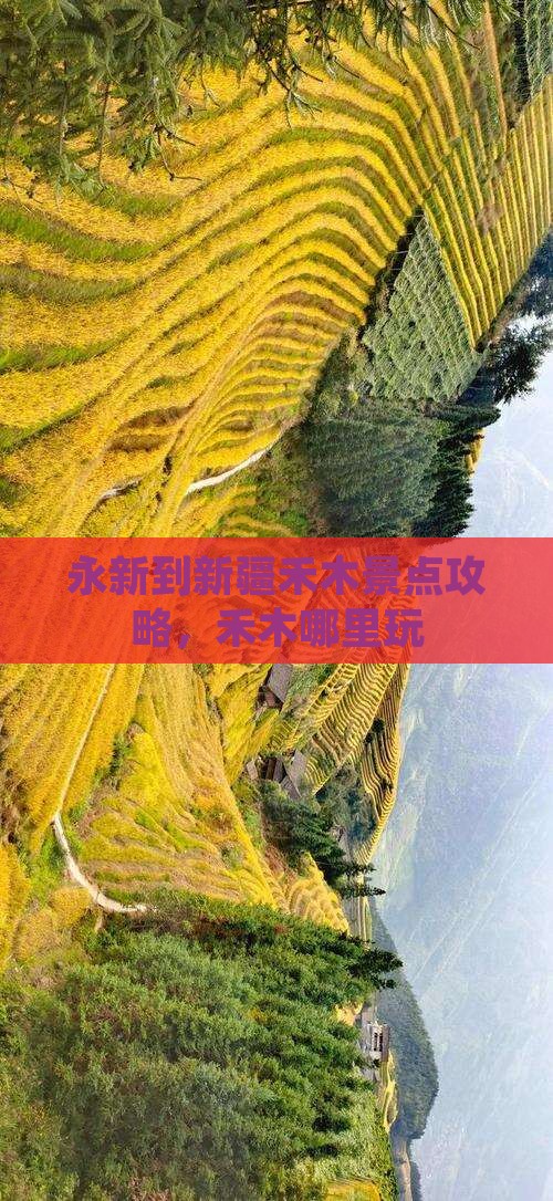永新到新疆禾木哪里玩