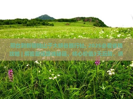 邢台到新疆独山子大峡谷旅行社