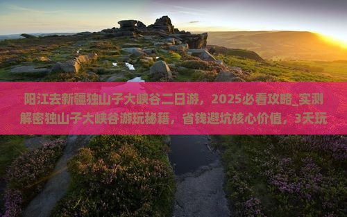 阳江去新疆独山子大峡谷二日游