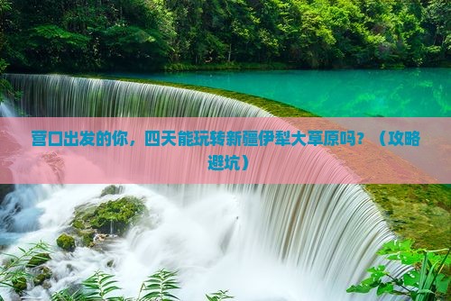 营口到新疆伊犁大草原四日游