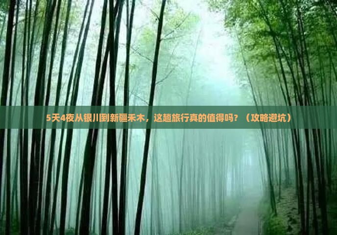 银川到新疆禾木旅游