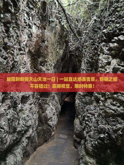 益阳到新疆天山天池一日