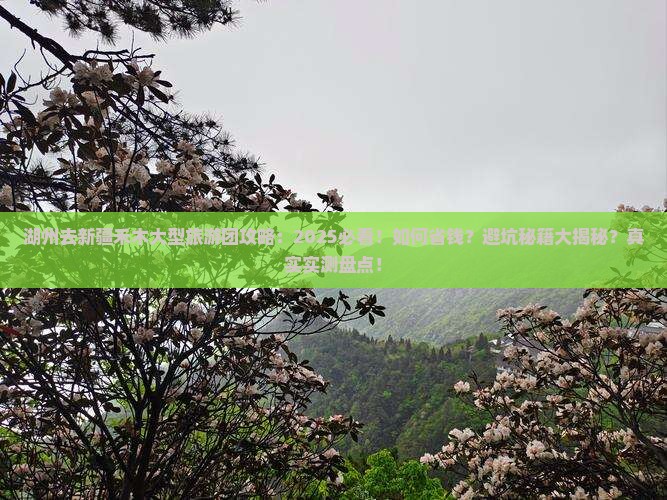 湖州去新疆禾木大型旅游团