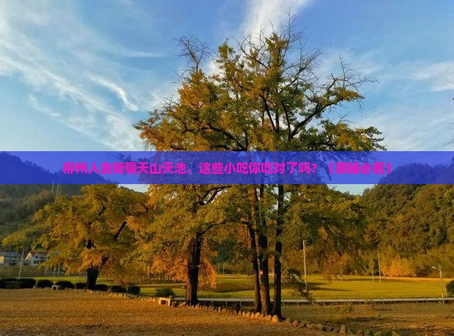 柳州去新疆天山天池旅游小吃