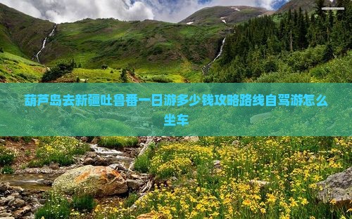 葫芦岛去新疆吐鲁番一日