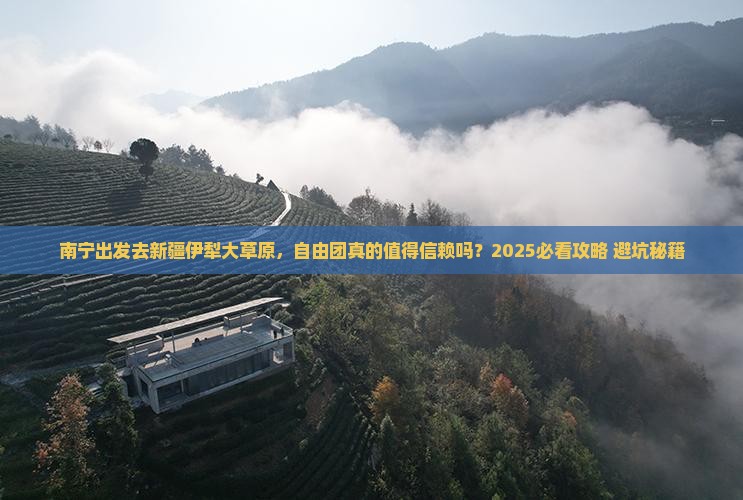 南宁到新疆伊犁大草原自由团