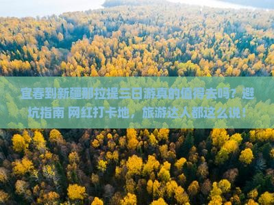 宜春到新疆那拉提三日游