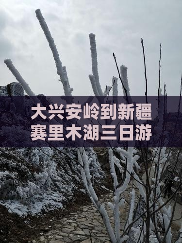 大兴安岭到新疆赛里木湖三日游