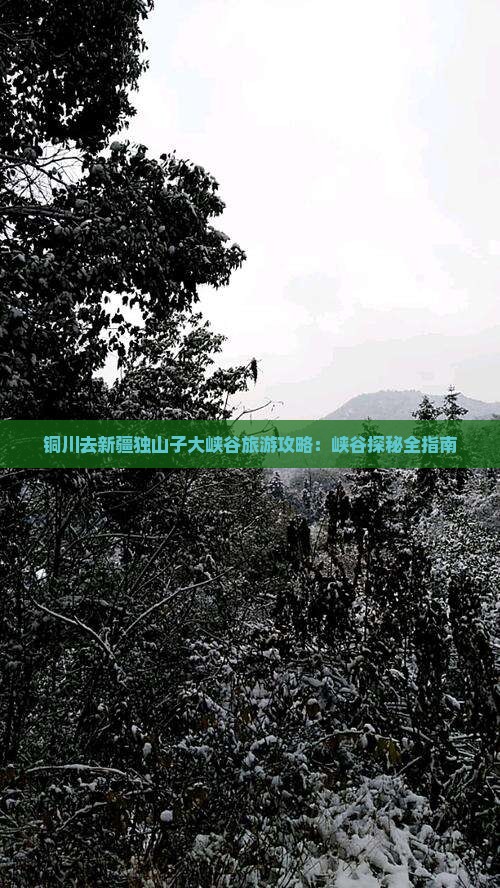 铜川去新疆独山子大峡谷攻略