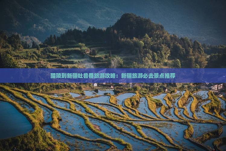 醴陵到新疆吐鲁番门票
