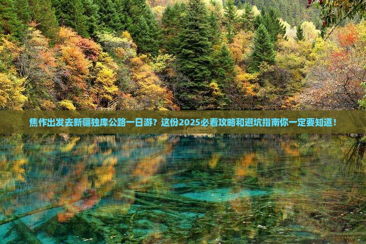 焦作去新疆独库公路一日