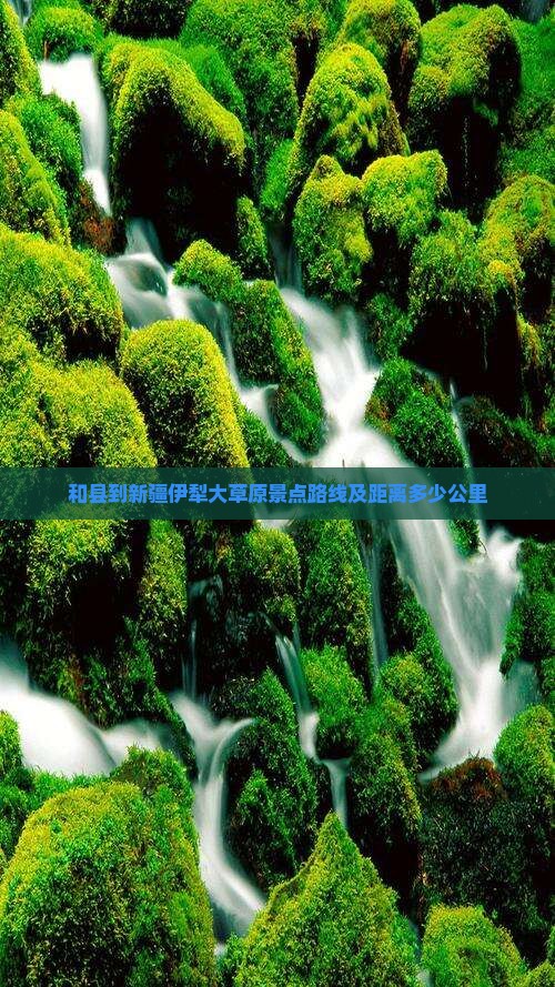 和县到新疆伊犁大草原景点