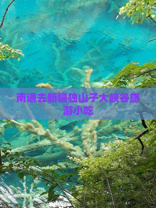 南通去新疆独山子大峡谷旅游小吃