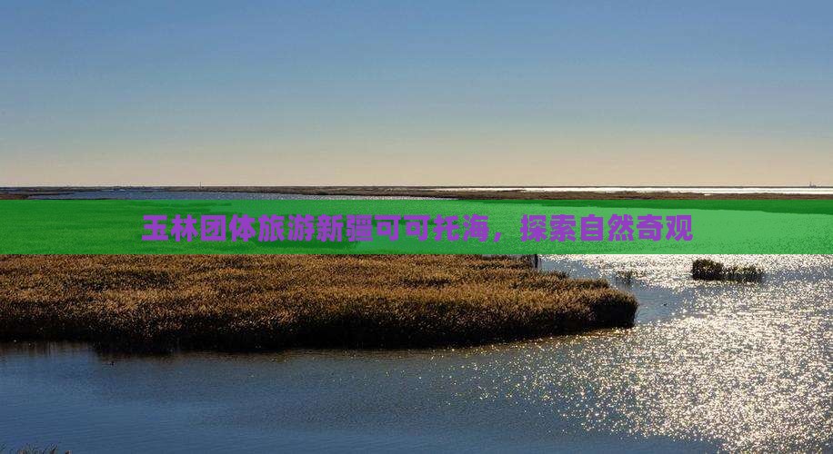 玉林去新疆可可托海团体旅游