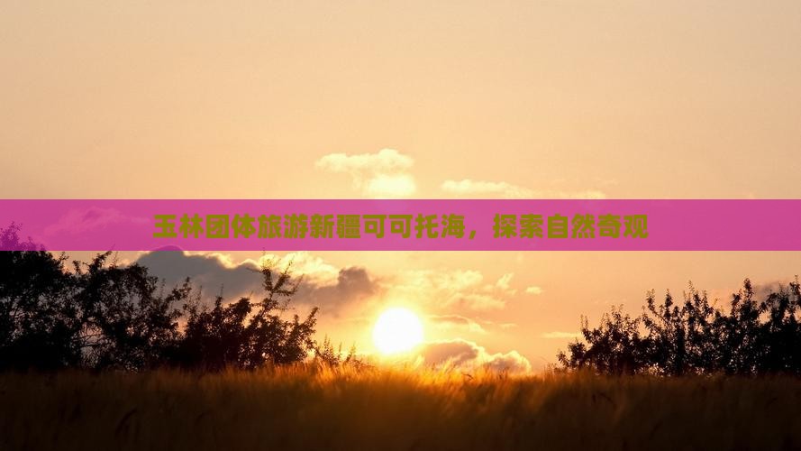 玉林去新疆可可托海团体旅游