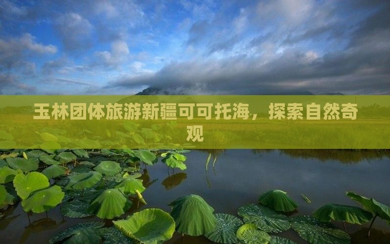 玉林去新疆可可托海团体旅游