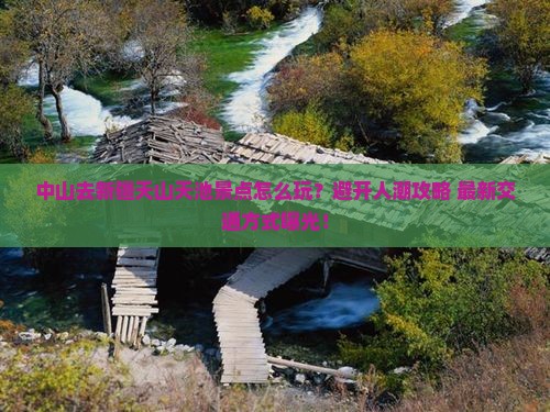 中山去新疆天山天池景点