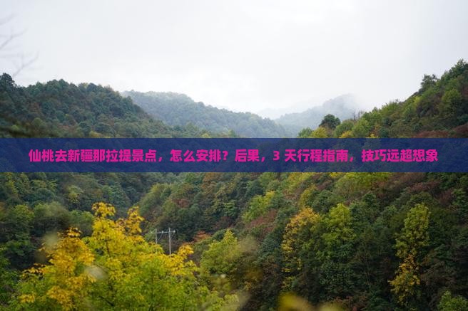 仙桃去新疆那拉提景点