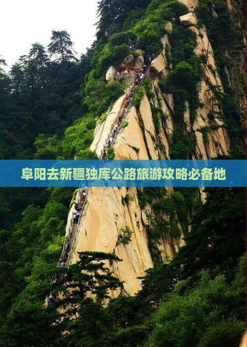 阜阳去新疆独库公路必去地
