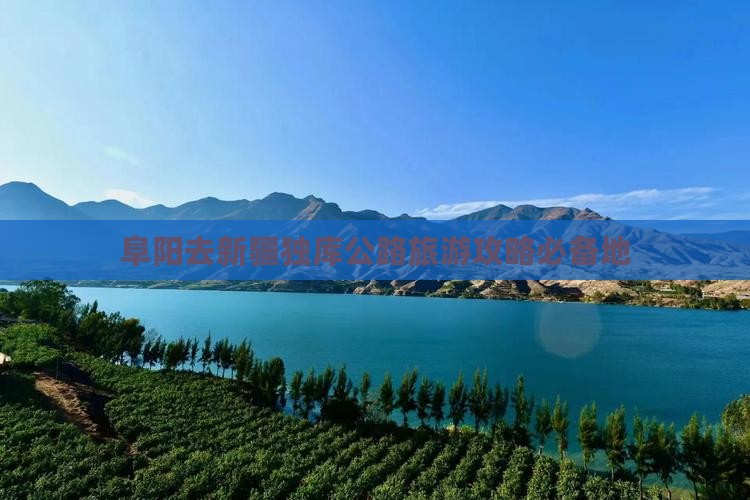 阜阳去新疆独库公路必去地