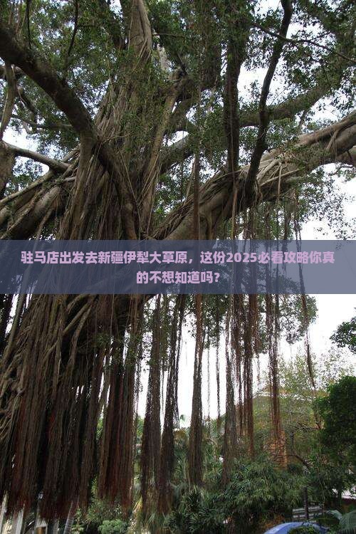 驻马店去新疆伊犁大草原大型旅游团
