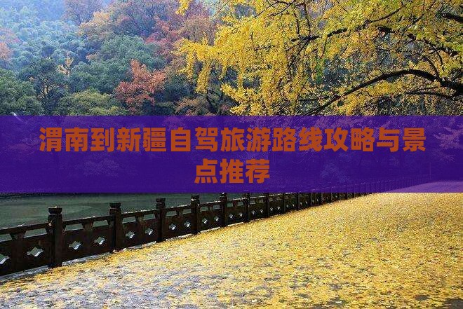 渭南到新疆哪里玩