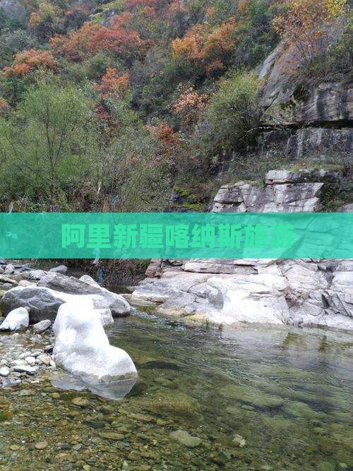 阿里去新疆喀纳斯团体旅游