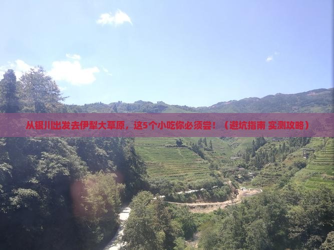中卫到新疆伊犁大草原旅游小吃