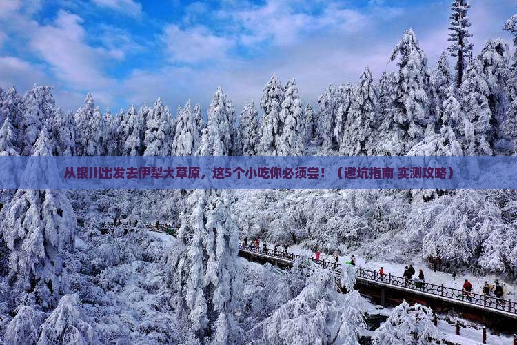 中卫到新疆伊犁大草原旅游小吃