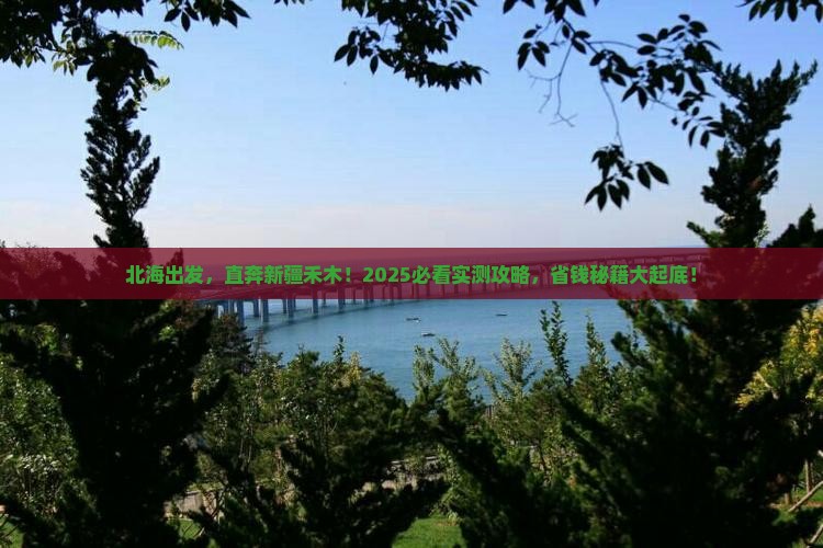 北海到新疆禾木六日游
