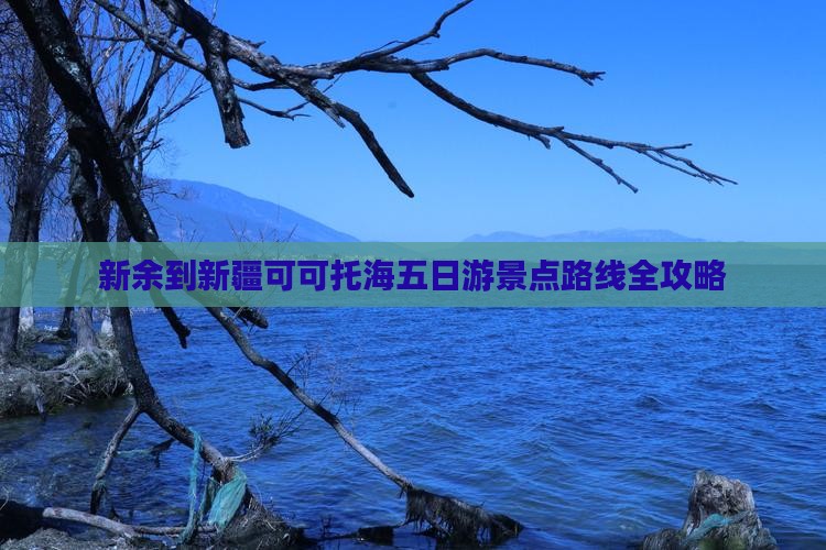 新余到新疆可可托海五日游