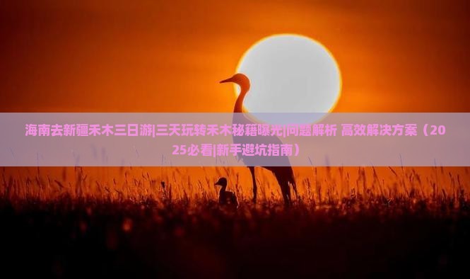 海南去新疆禾木三日游