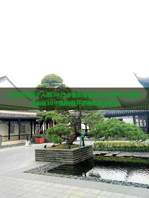 武汉到新疆个人游 武汉到新疆个人游