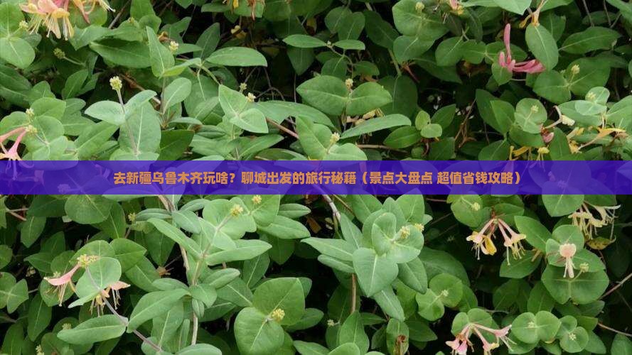 聊城去新疆乌鲁木齐景点 聊城去新疆乌鲁木齐景点