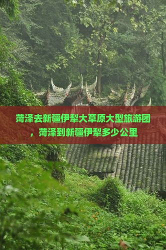 菏泽去新疆伊犁大草原大型旅游团