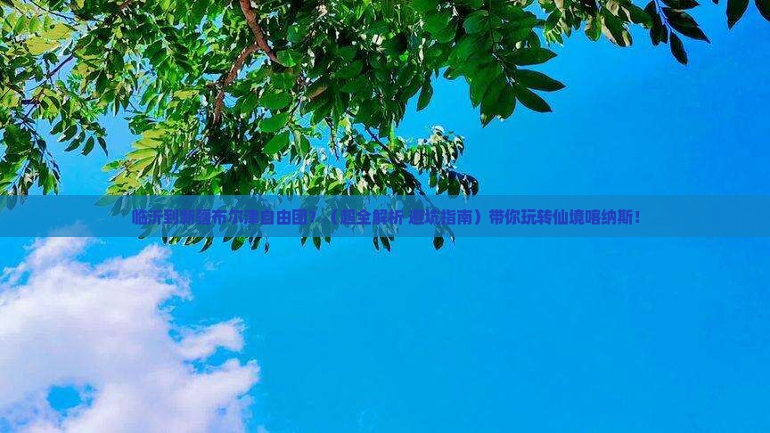 临沂去新疆布尔津自由团