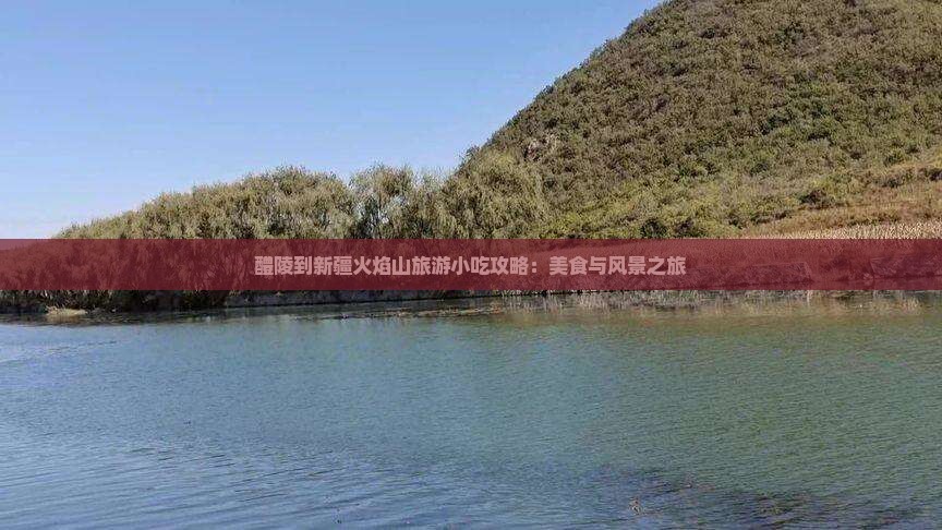 醴陵到新疆火焰山旅游小吃