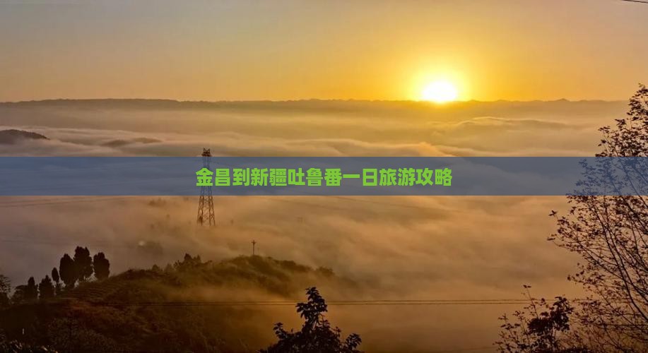 金昌到新疆吐鲁番一日