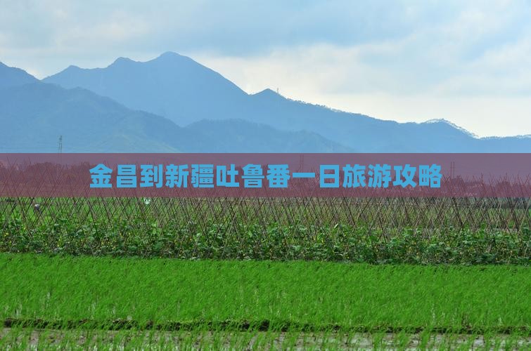 金昌到新疆吐鲁番一日