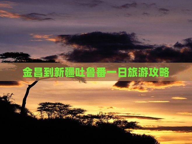 金昌到新疆吐鲁番一日