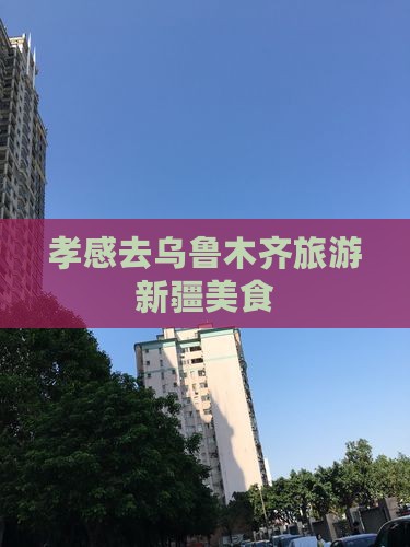 孝感去新疆乌鲁木齐旅游小吃