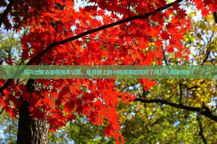 绍兴去新疆独库公路旅游小吃