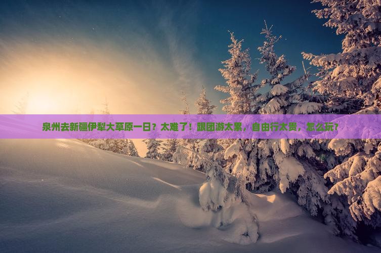泉州去新疆伊犁大草原一日